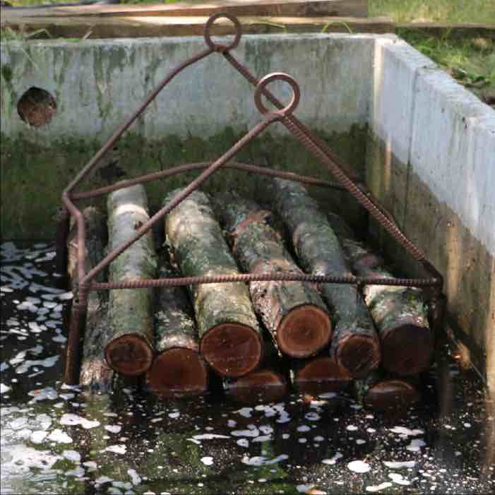 a pallet of logs being submerged in a tank full of water