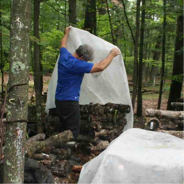 covering logs with fruiting blanket