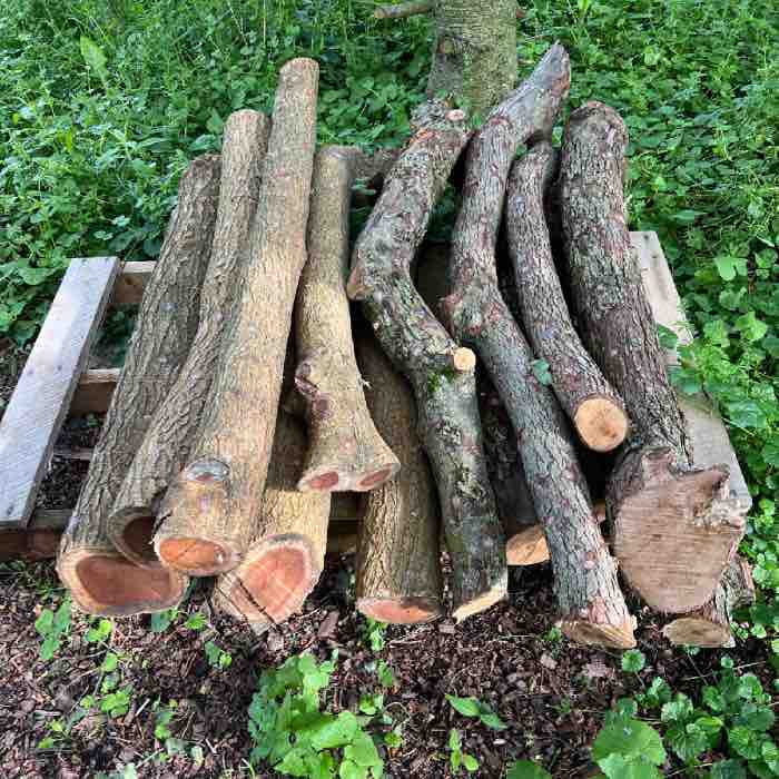 a stack of logs on a pallet