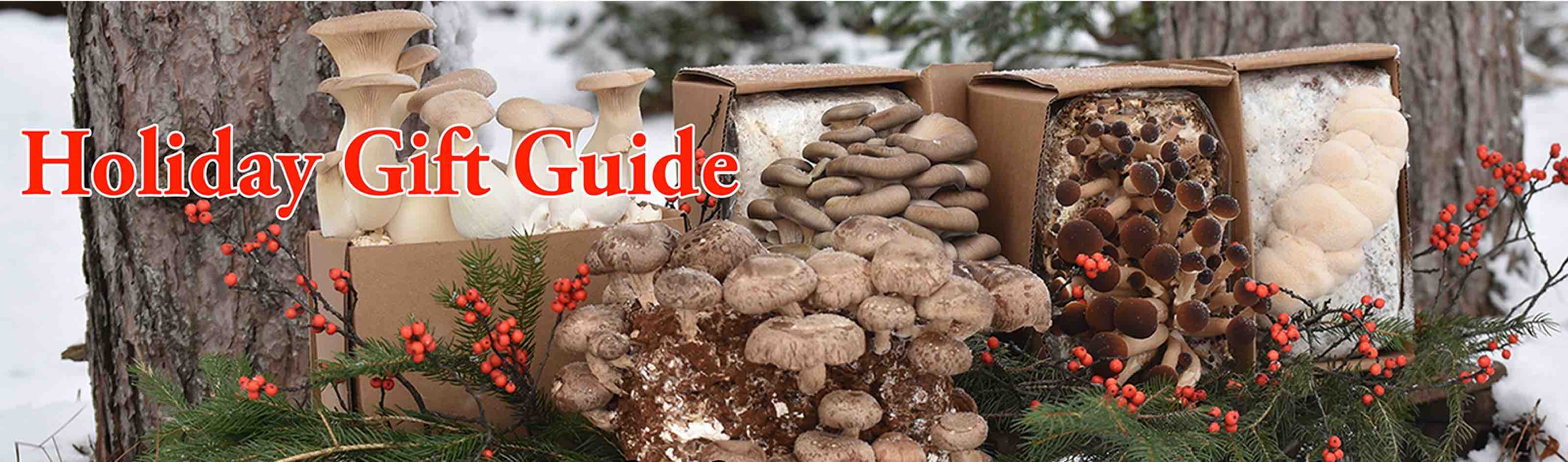 Mushroom gift guide text over a photo of various mushroom kits arranged in a winter scene