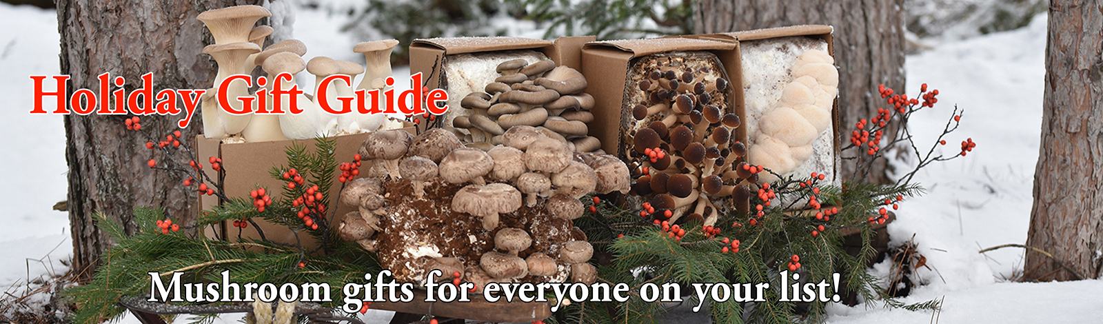 Holiday Mushroom Gift Guide