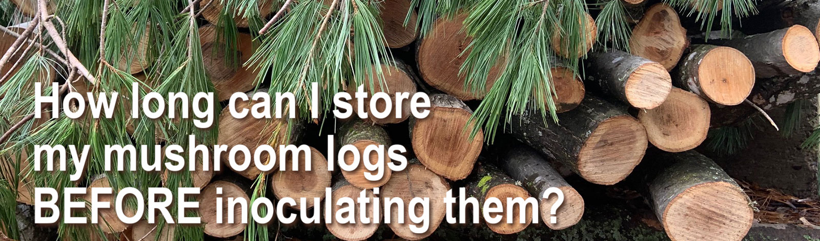 how long can I store my logs before inoculating them