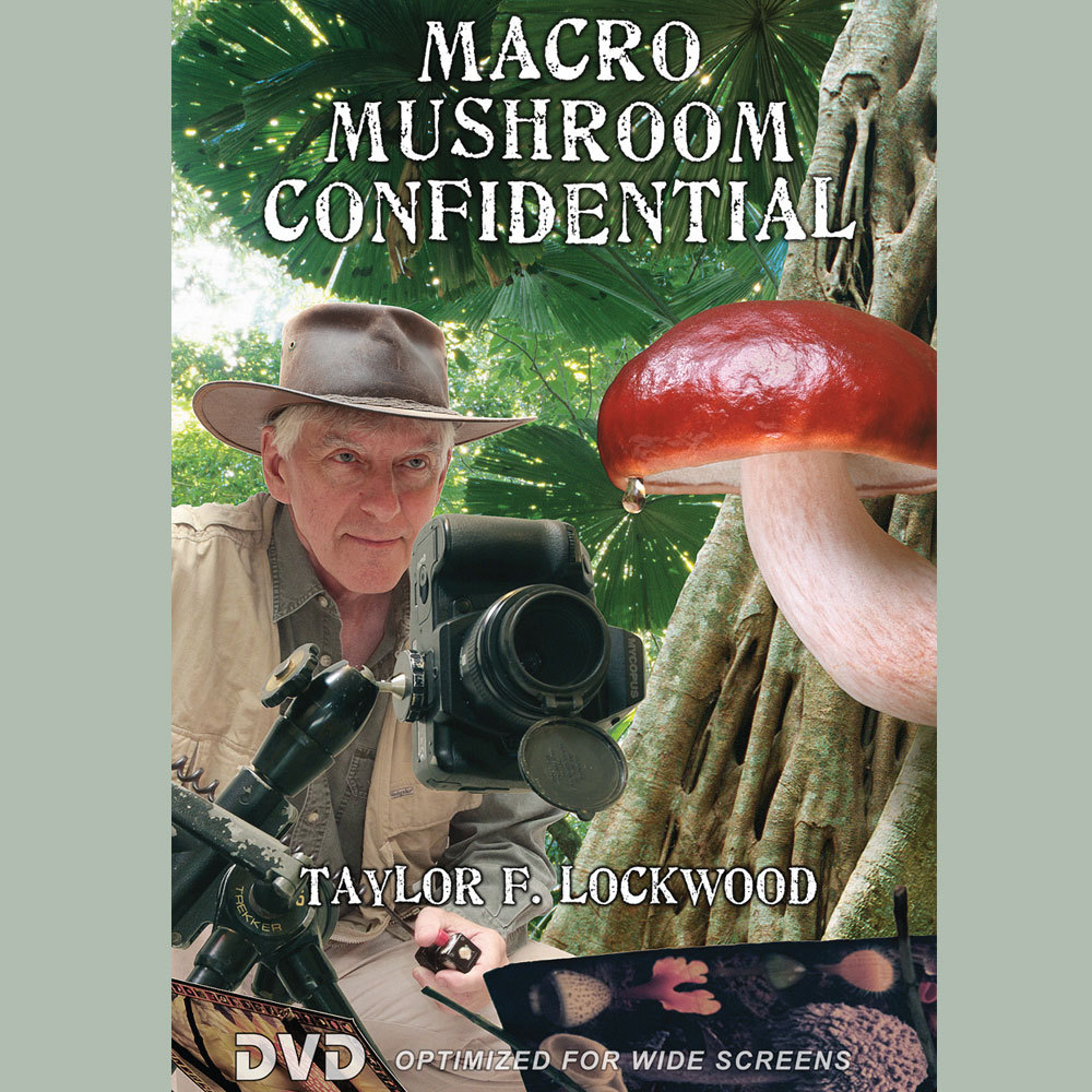 Macro Mushroom Confidential DVD by Taylor Lockwood