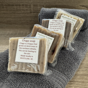 Handcrafted Mushroom Soap Set