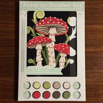 Fly Agaric Mushroom Paint-By-Number Kit 