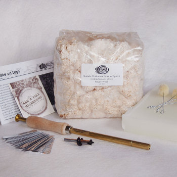 Shiitake Sawdust Spawn Starter Kit