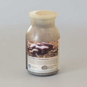 Wood Blewit Garden Kit