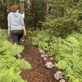 Mushroom Garden Tour and Hands-On Workshop 9/13/24 - 1-4 pm