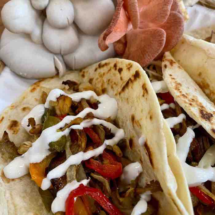 Pan Roasted Oyster Mushrooms and Peppers Taco Filling