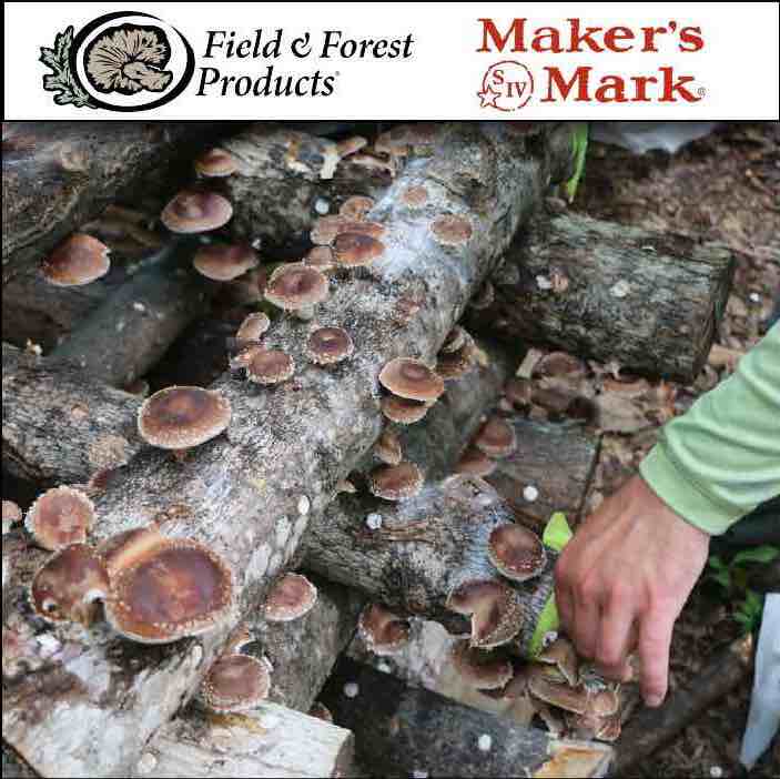 Mushroom Cultivation Workshop at Maker's Mark, KY Oct. 26