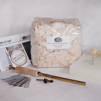 Shiitake Sawdust Spawn Starter Kits
