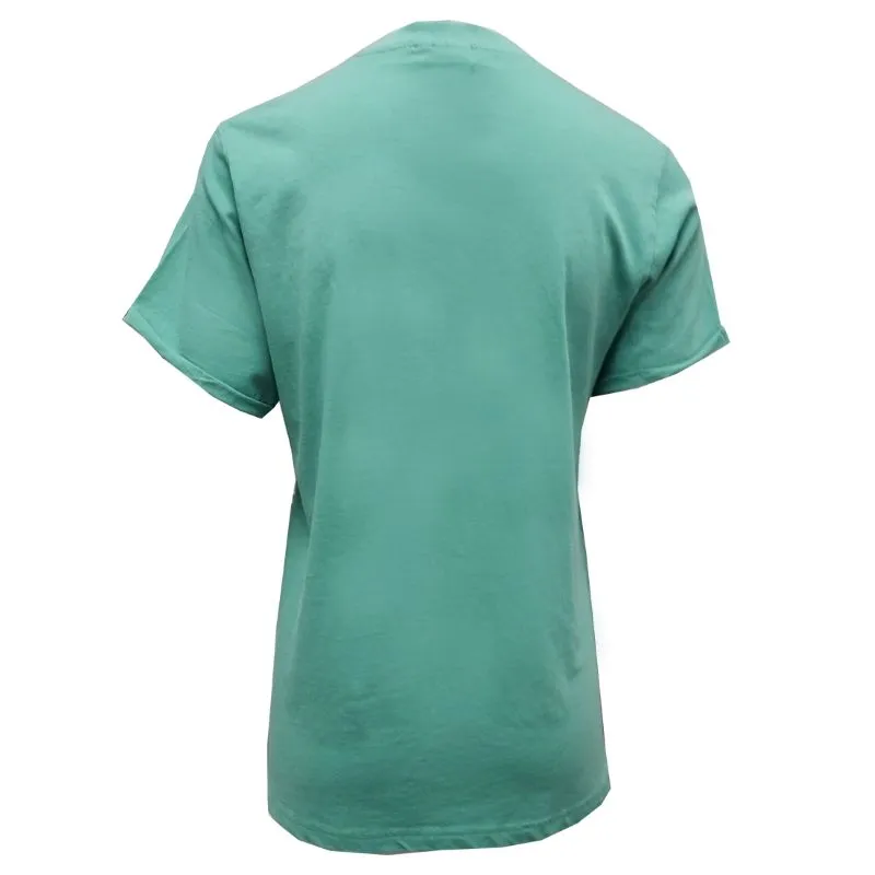 A30066 Ladies Emerald Isle Shamrock T-Shirt Back Side Gaelsong 