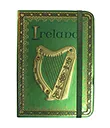 Irish Harp Journal view 1