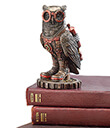 Steampunk Owl Bronze Lifestyle Gaelsong