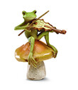 Fiddle-Playing Frog