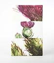 Scottish Thistle Tea Towel view 2