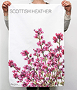 Scottish Heather 100% Cotton Tea Towel