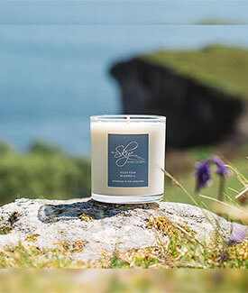Spring Scottish Bluebell Candle