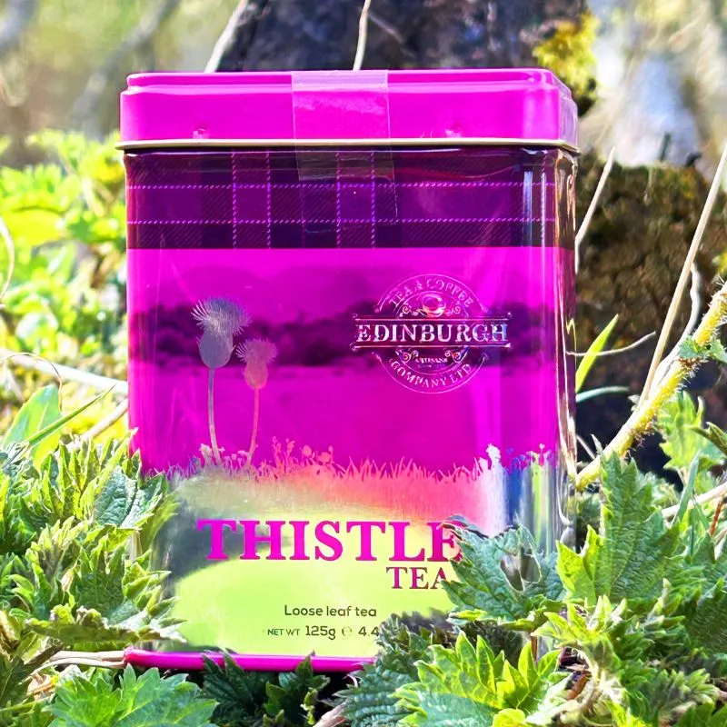 F10082 THISTLE Taste of Scotland Loose Leaf Tea Gaelsong