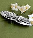 Whimsical Dragonfly Hair Barrette view 1