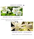 Jasmine And Tuburose Scent Gaelsong 