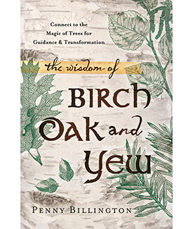 The Wisdom of Birch, Oak and Yew