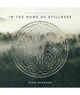 In The Name of Stillness CD