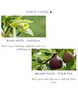 Scent Notes Vanilla Wild Fig Gaelsong