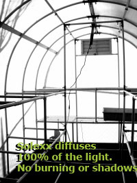 The light diffusion in Solexx greenhouse covering scatters light throughout the greenhouse. Light reached the top and bottom of the leaves of all the plants.