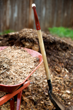 Use bark dust to create a beautiful and natural mulch