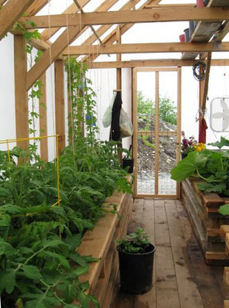Grow in a greenhouse and enjoy your gardening hobby all year