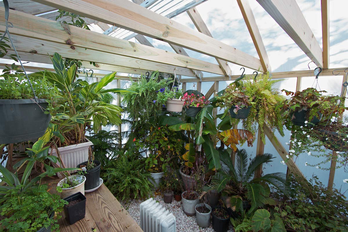 Solexx was used to turn this greenhouse into a tropical sunroom.