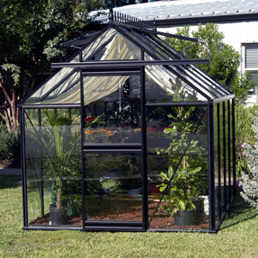 Greenhouse with glass covering.