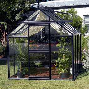 7'9"x 10'2" Junior Victorian Greenhouse