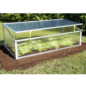 Cold Frame and Screen