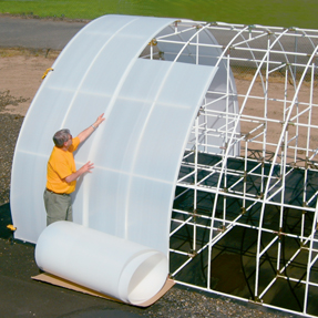 3.5mm 49.5" Wide (24' to 85' long) Solexx Greenhouse Rolls