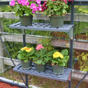 Palram-Canopia Greenhouse Shelf Kit
