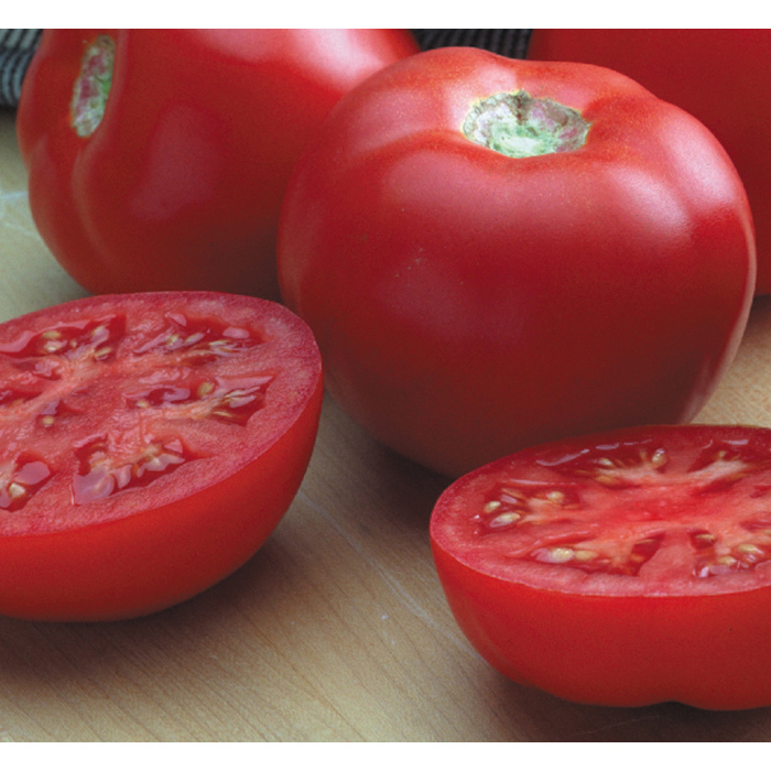 Italian Goliath Hybrid Tomato