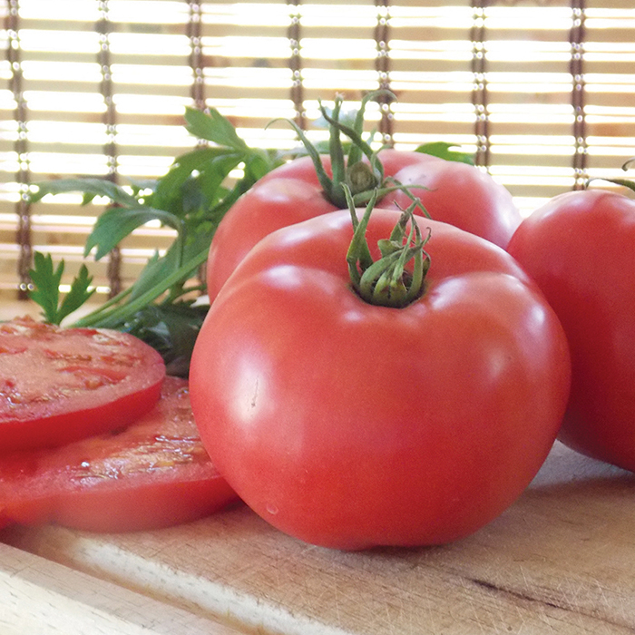 Damsel Vn Hybrid Tomato