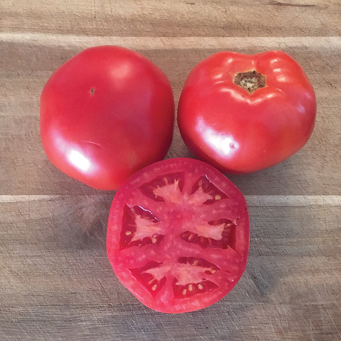 Galahad Hybrid Tomato
