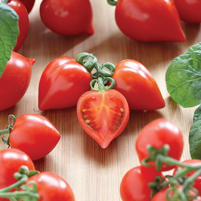 Heartbreakers Dora Red Hybrid Tomato