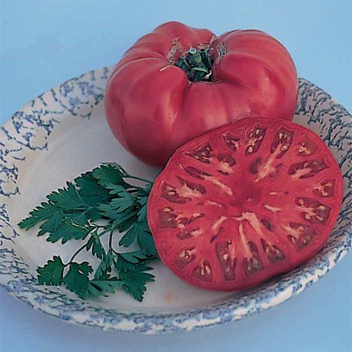 Mortgage Lifter Type Tomato