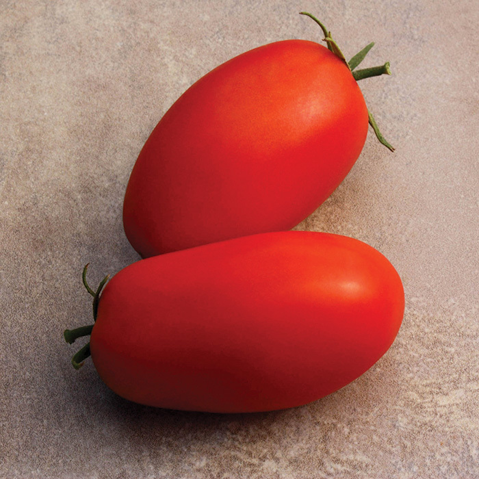 Supremo Hyb Tomato 