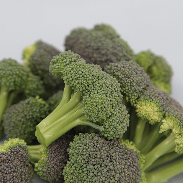 Monflor Hybrid Broccoli