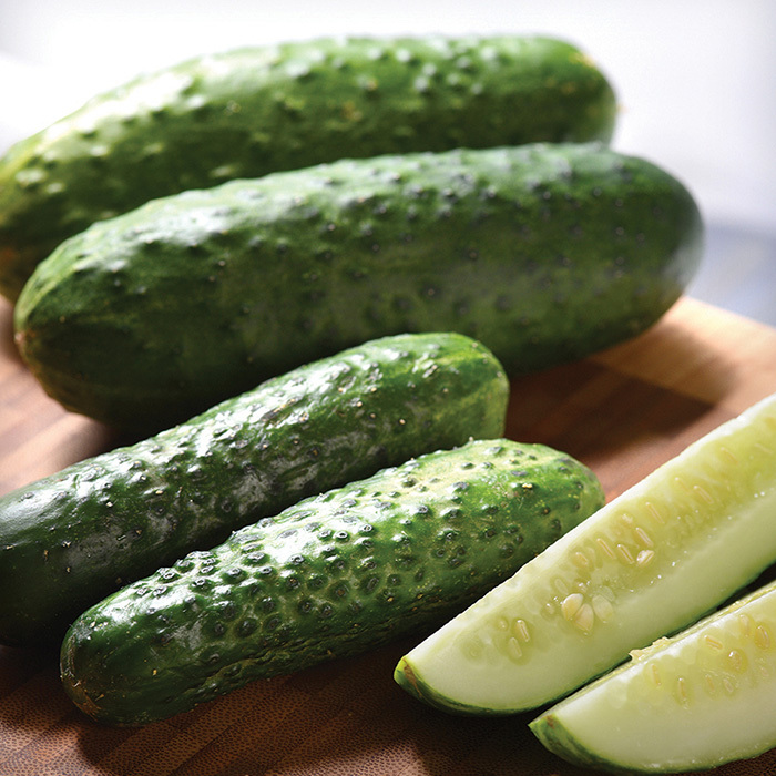 Gerking Hybrid Cucumber