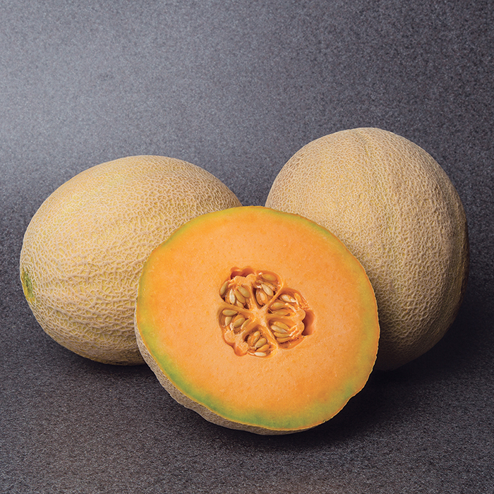 Accolade Hybrid Cantaloupe