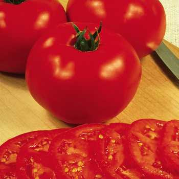 Tomato, Abraham Lincoln Original 
