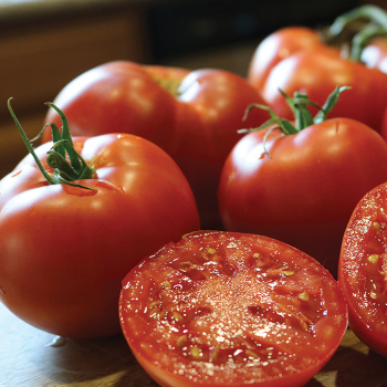 Better Boy Plus Hybrid Tomato