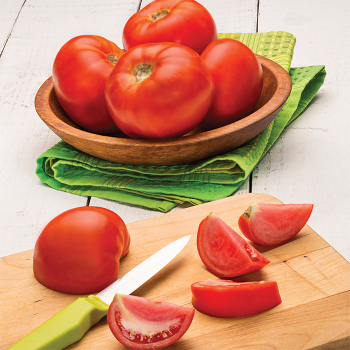 Dixie Red Hybrid Tomato