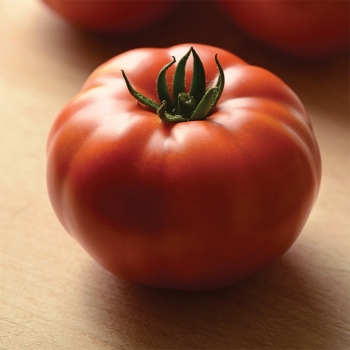 Heirloom Marriage Genuwine Hybrid Tomato